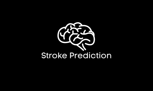 Optimizing Stroke Risk Prediction Using Artificial Neural Networks with Feature Selection Based on Binary Particle Swarm Optimization