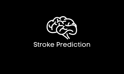 Optimizing Stroke Risk Prediction Using Artificial Neural Networks with Feature Selection Based on Binary Particle Swarm Optimization
